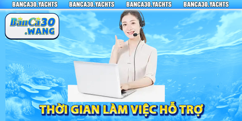 Liên Hệ Banca30 - Nhanh Chóng Và Hiệu Quả 3 Thời gian làm việc hỗ trợ