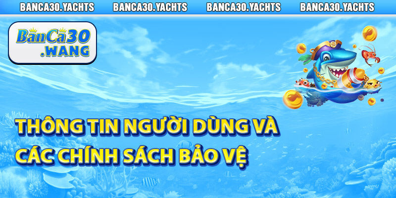 Điều khoản Banca30 – Quy định về quyền lợi và trách nhiệm 2 Thông tin người dùng và các chính sách bảo vệ
